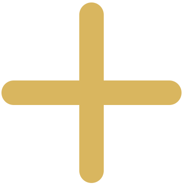 plus-icon
